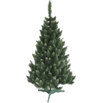 Vianočný stromček borovica maxim 220 cm